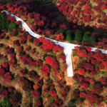 红叶摄影观光园