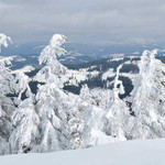 齐山雪场