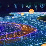 岭北拓展公园