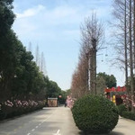 田言观色