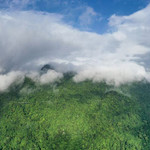 黎母山森林公园