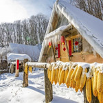 枫雪部落