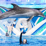 桂林融创海世界