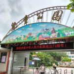 湛江市小象乐园