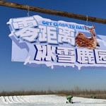 零距离冰雪鹿园