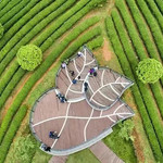 湘丰茶业庄园