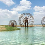 黄河外滩国家湿地公园
