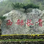 西部长青金蟾山