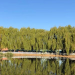 天盛湖生态风景区