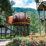 金佛山星空露营营地