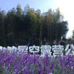 北纬29°山地星空露营公园谷屿野精致露营地