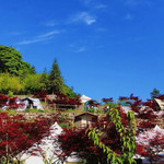 红枫露营地