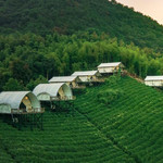 境见茶野里野奢帐篷露营地