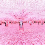 plantica花漾秘境光影沉浸艺术展