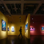 「广西首展」国家地理经典影像大展