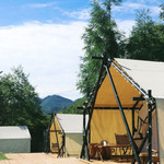 熊猫森林CAMP露营地