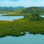 仙岛公园