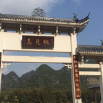 崇左桃花岛景区