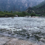 月亮湾露营采摘基地