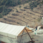 云阶格兰平帐篷露营地