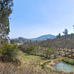 乐田安云农场山地露营地