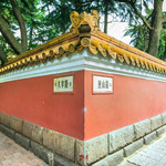 大学路