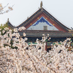 武汉大学