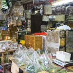 园圃街雀鸟花园