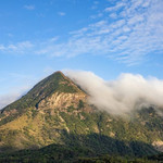 大屿山郊野公园
