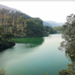 Tai Tong