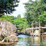 森林河流之旅