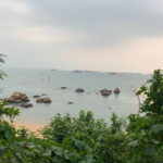 加多利湾泳滩