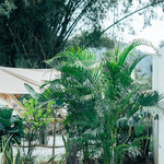 GoSafari·Urban Camp天河凤凰山露营地