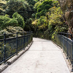 旧山顶道