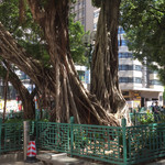 庙街甘肃街临时休憩花园