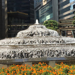 菲林明道公园