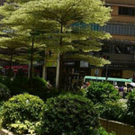 太子道水渠道花园