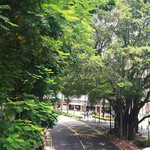 沙宣道休憩花园