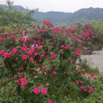 燕子岩风景区