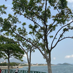 元洲仔公园