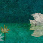 国际安徒生奖世界插画大展(广州站)