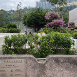 荃景围游乐场及休憩花园