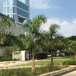 夏悫花园