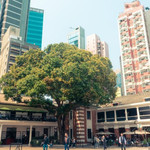 中区警署建筑群