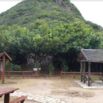 西高山茶園