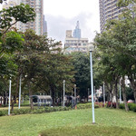 加多近街临时花园