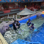 宁夏十海潜水俱乐部
