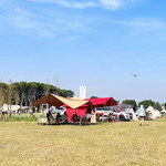 西郊林场一月一露露营地