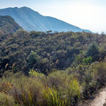 九龙坑山