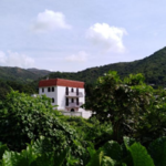 涌口村
